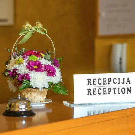 Apartman Ivona Budva